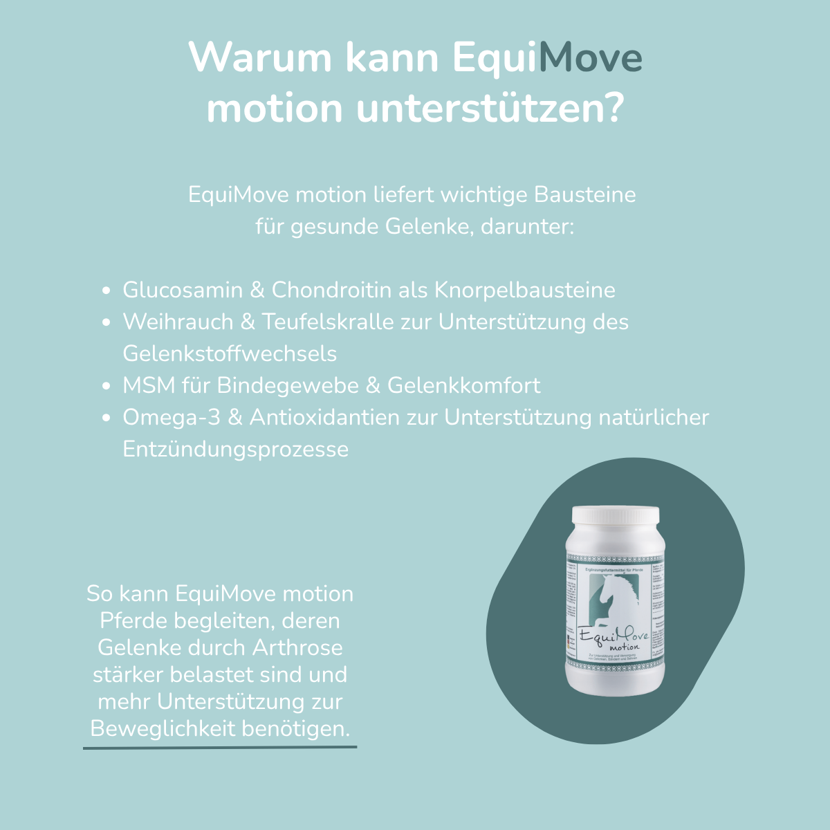 EquiMove motion