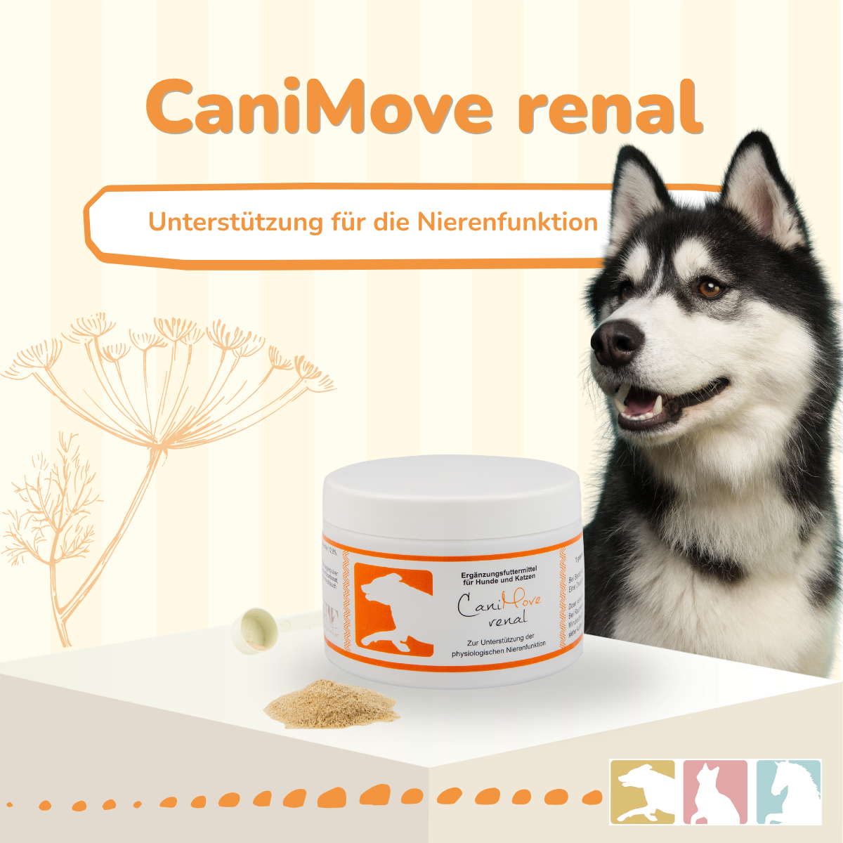CaniMove renal