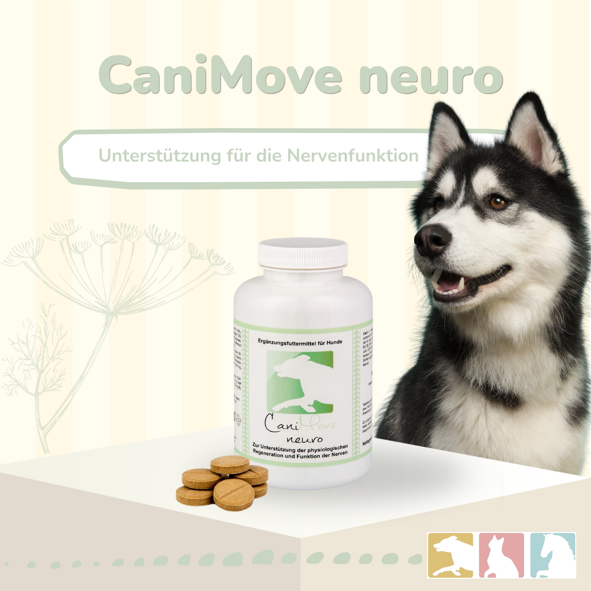 CaniMove neuro