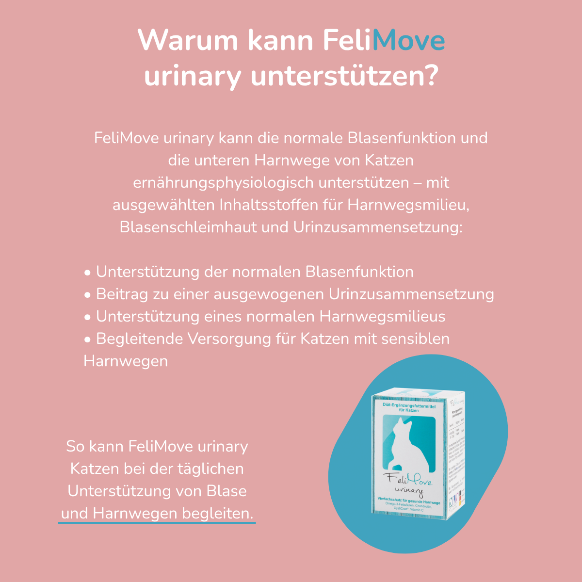 FeliMove urinary