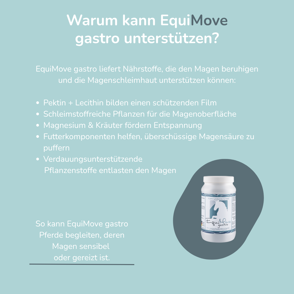 EquiMove gastro