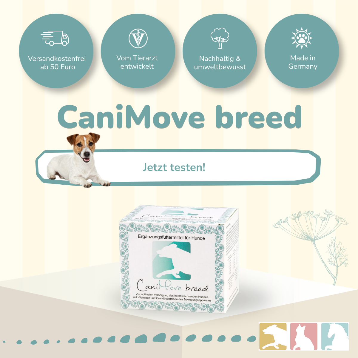 CaniMove breed