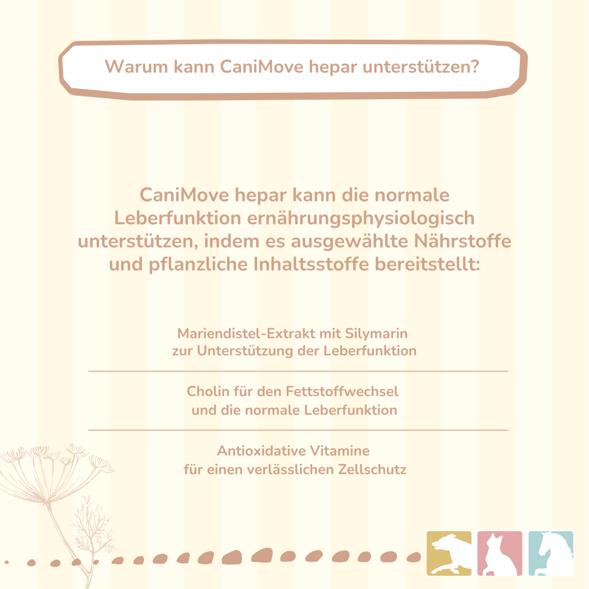 CaniMove hepar