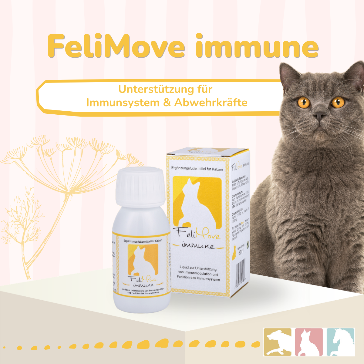 FeliMove immune