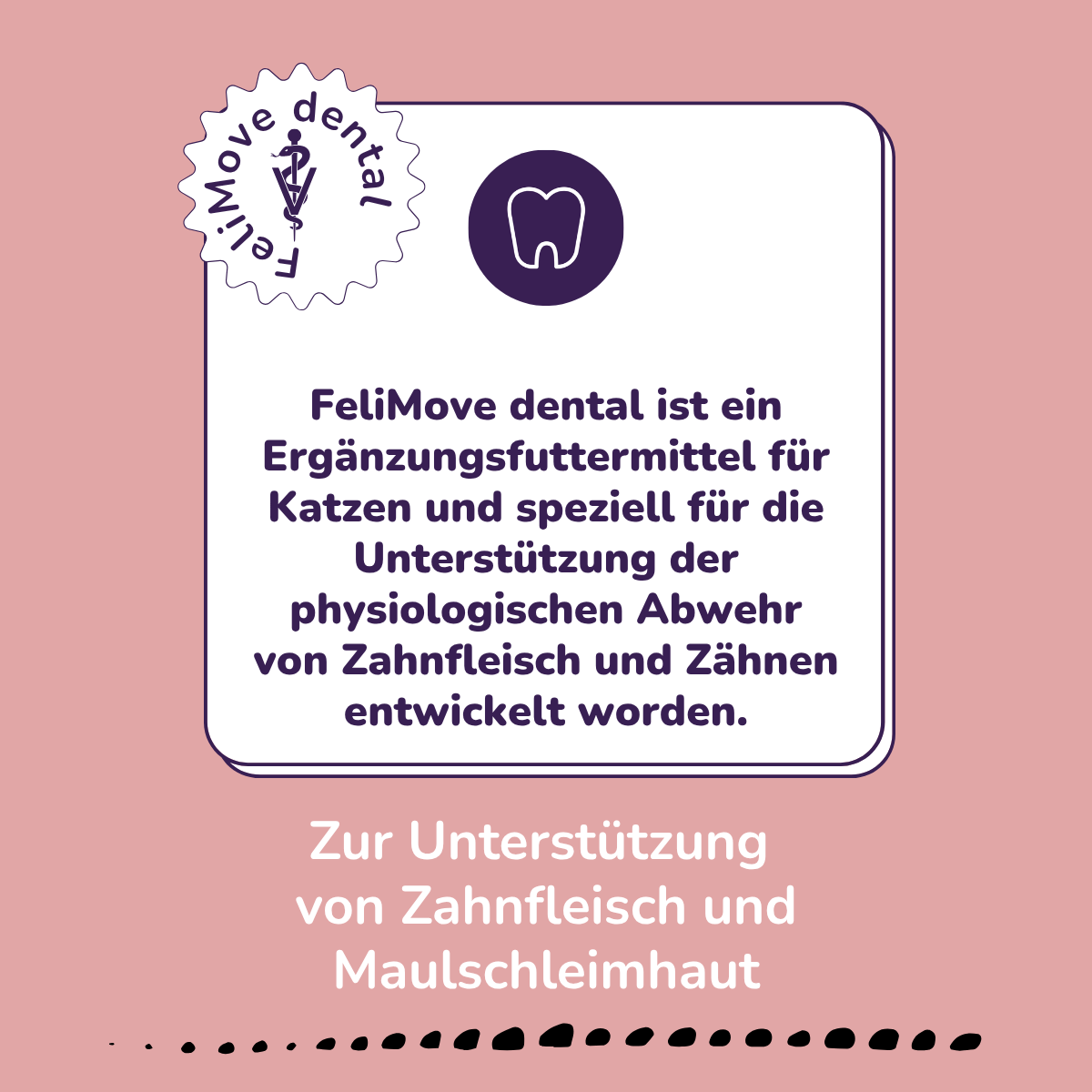 FeliMove dental