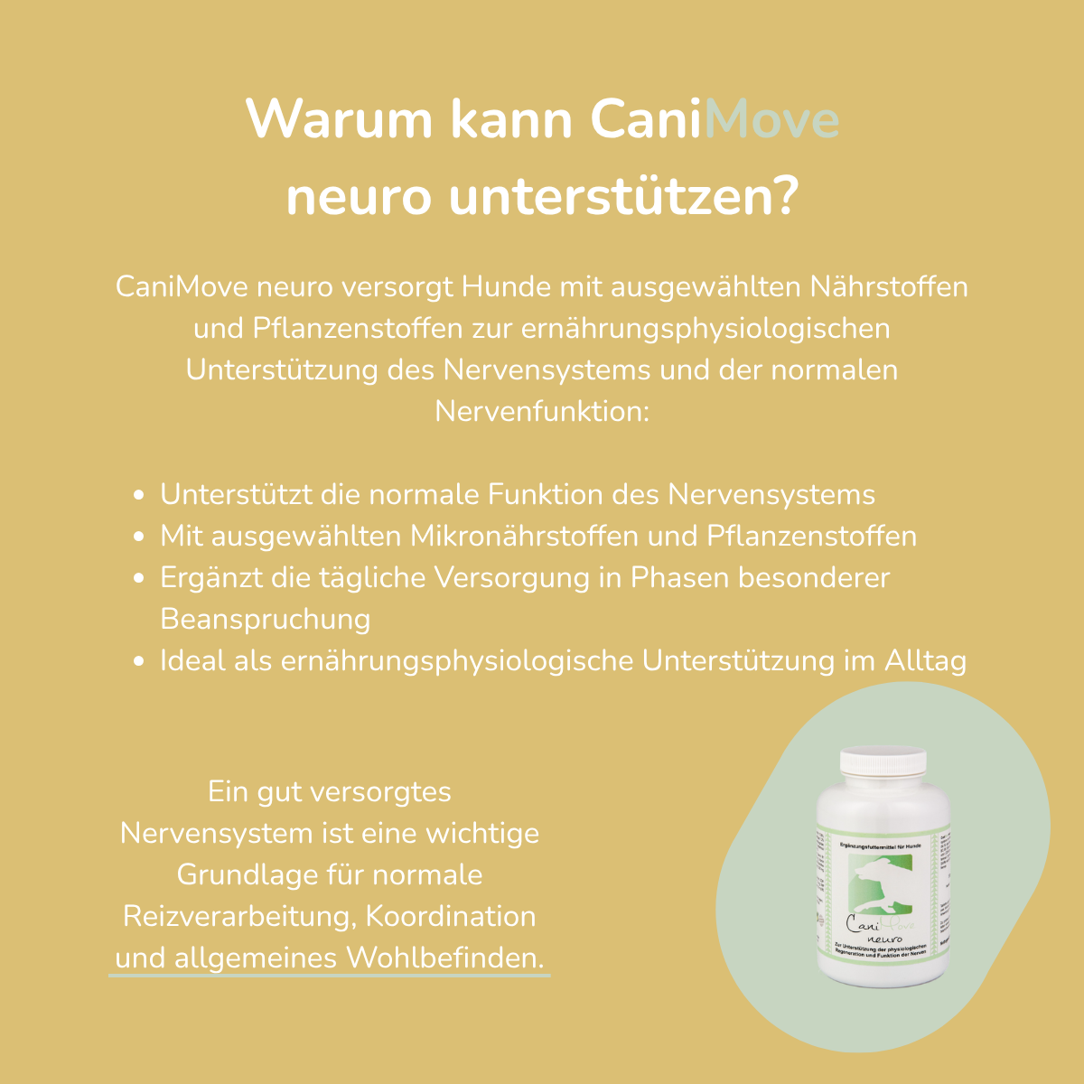 CaniMove neuro