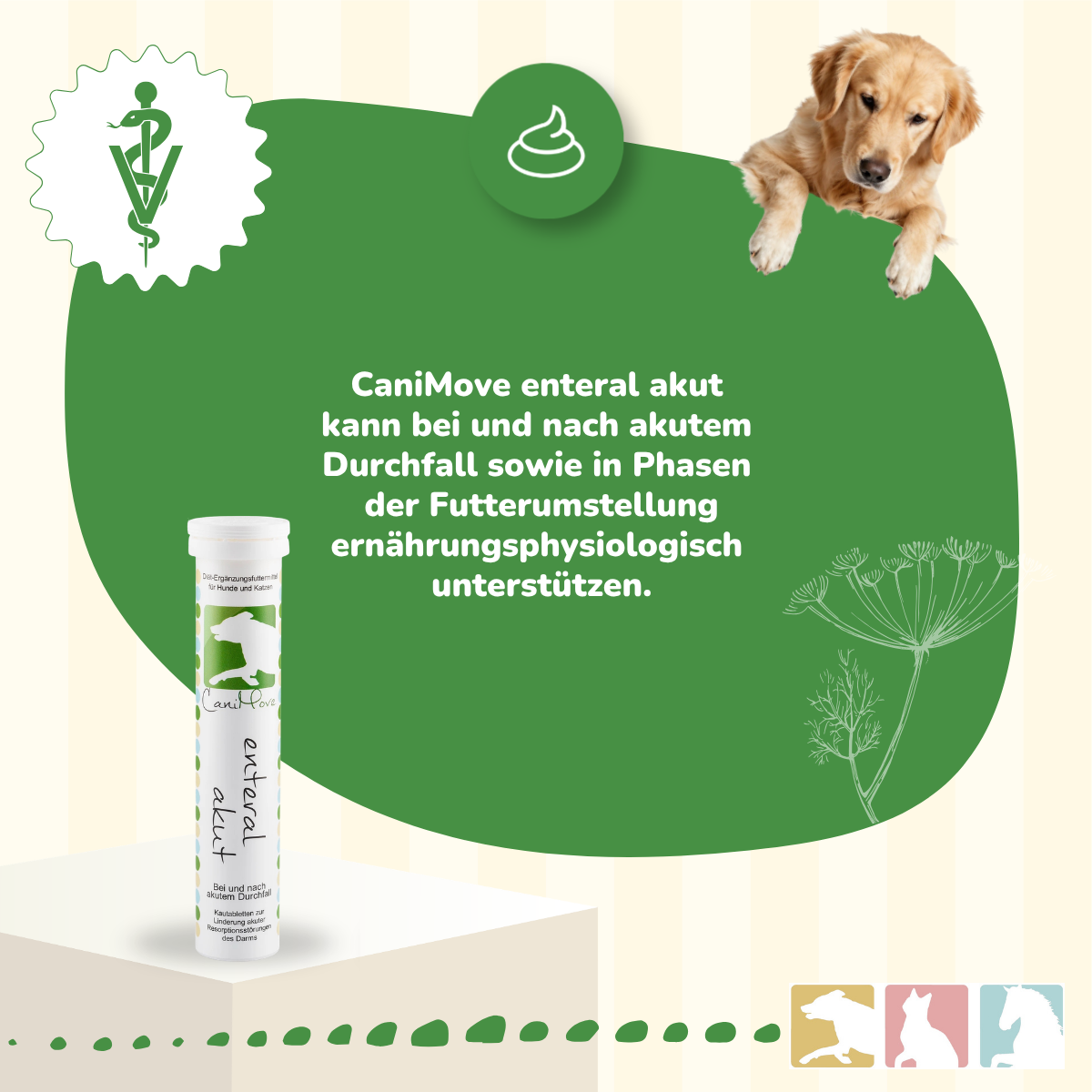 CaniMove enteral akut