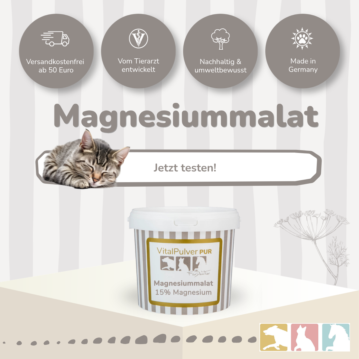 Magnesiummalat