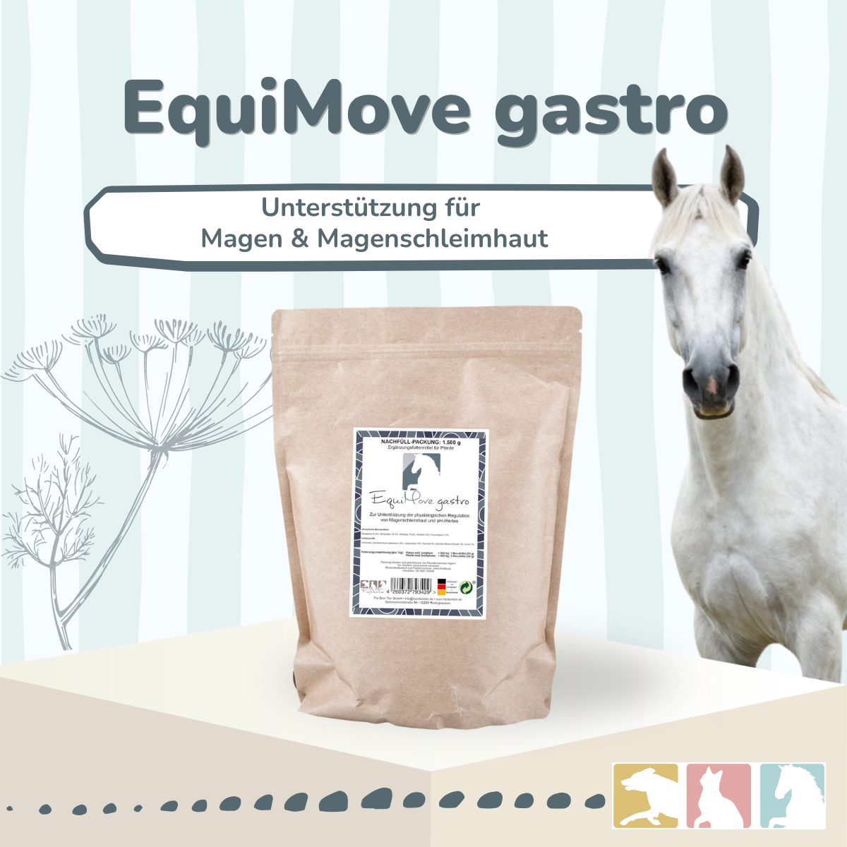 EquiMove gastro