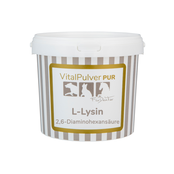 L-Lysin