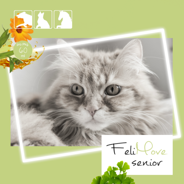 FeliMove senior - Liquid zur Unterstützung von Augen und Gehirn für alte Katzen