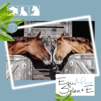 Vorschau: EquiMove Selen + E Vorschau: EquiMove Selen + E
