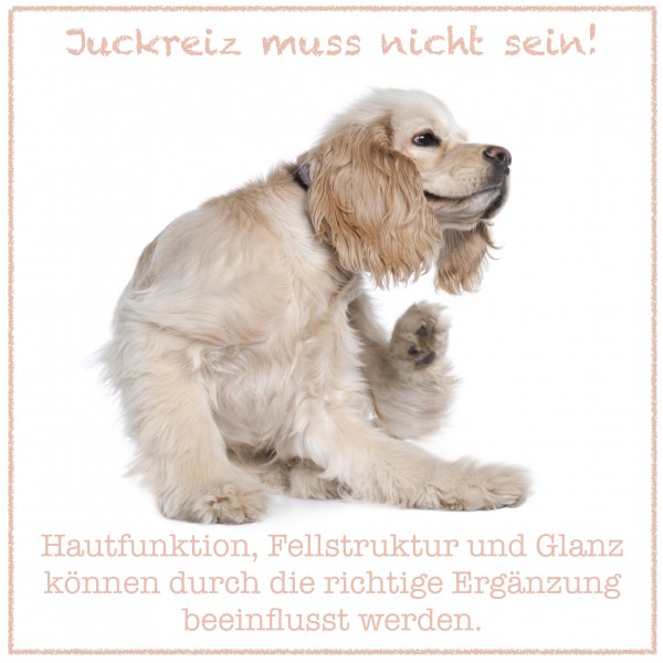 CaniMove dermal (100 Kapseln) für die Haut