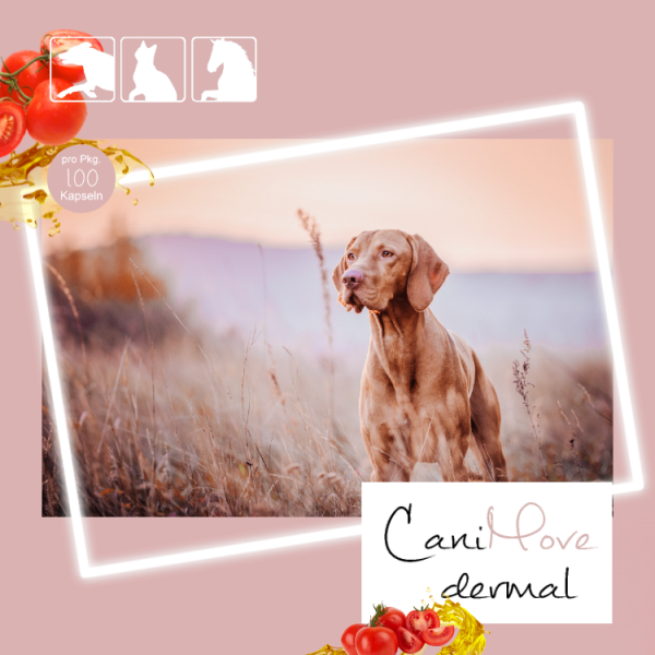 CaniMove dermal (100 Kapseln) für die Haut