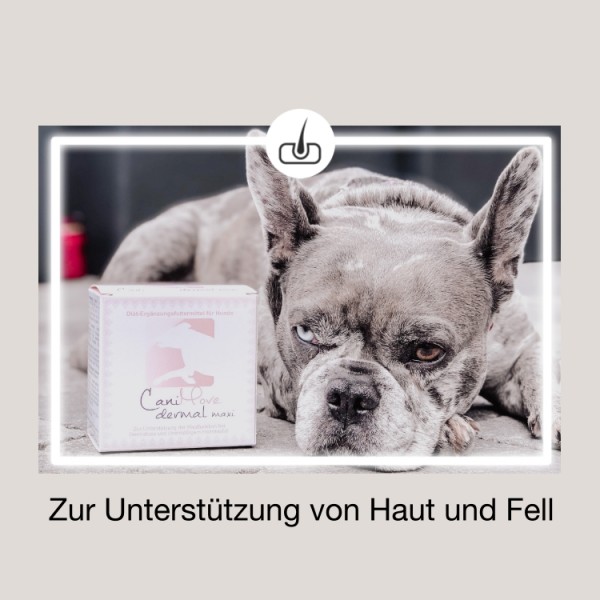 CaniMove dermal (100 Kapseln) für die Haut