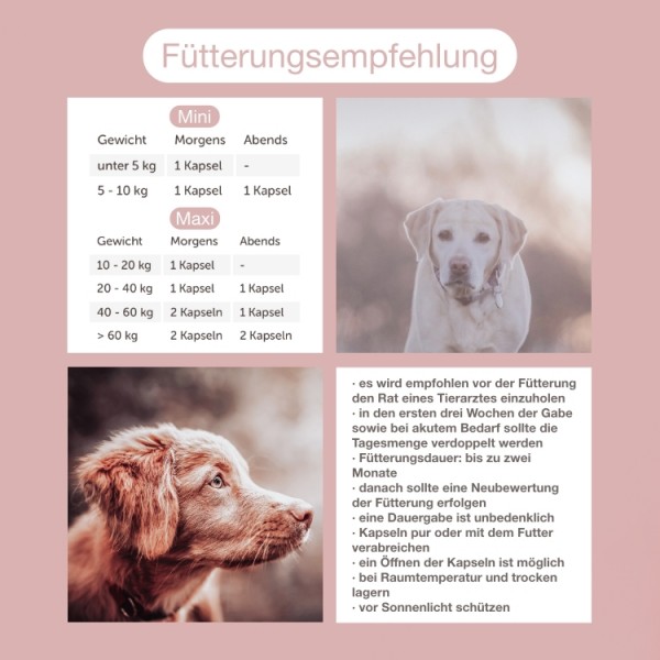 CaniMove dermal (100 Kapseln) für die Haut