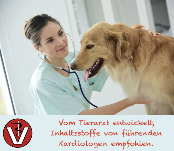 Herztabletten für kleine Hunde CaniMove cardio mini Für Dein Tier