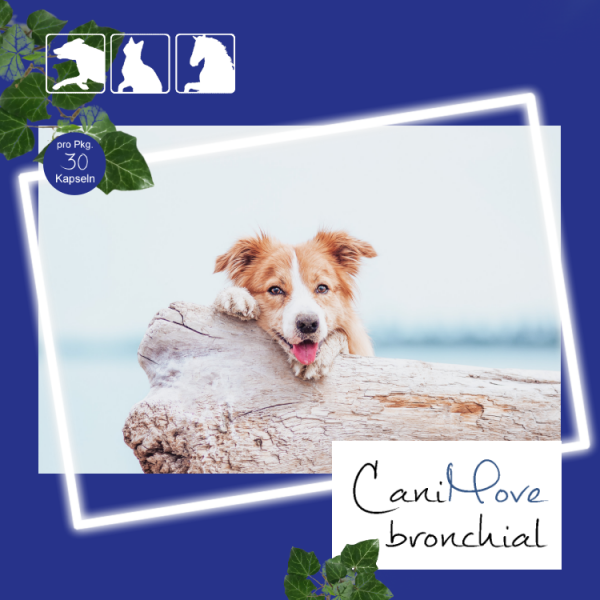 CaniMove bronchial - 30 wohltuende Atem-Kapseln für Hunde (Hustensaft 2.0)