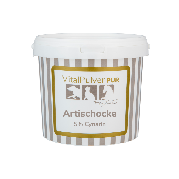 Artischocke (freigestellt)