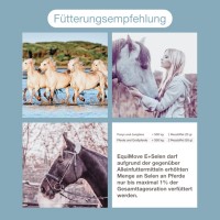 Vorschau: EquiMove Selen + E Vorschau: EquiMove Selen + E