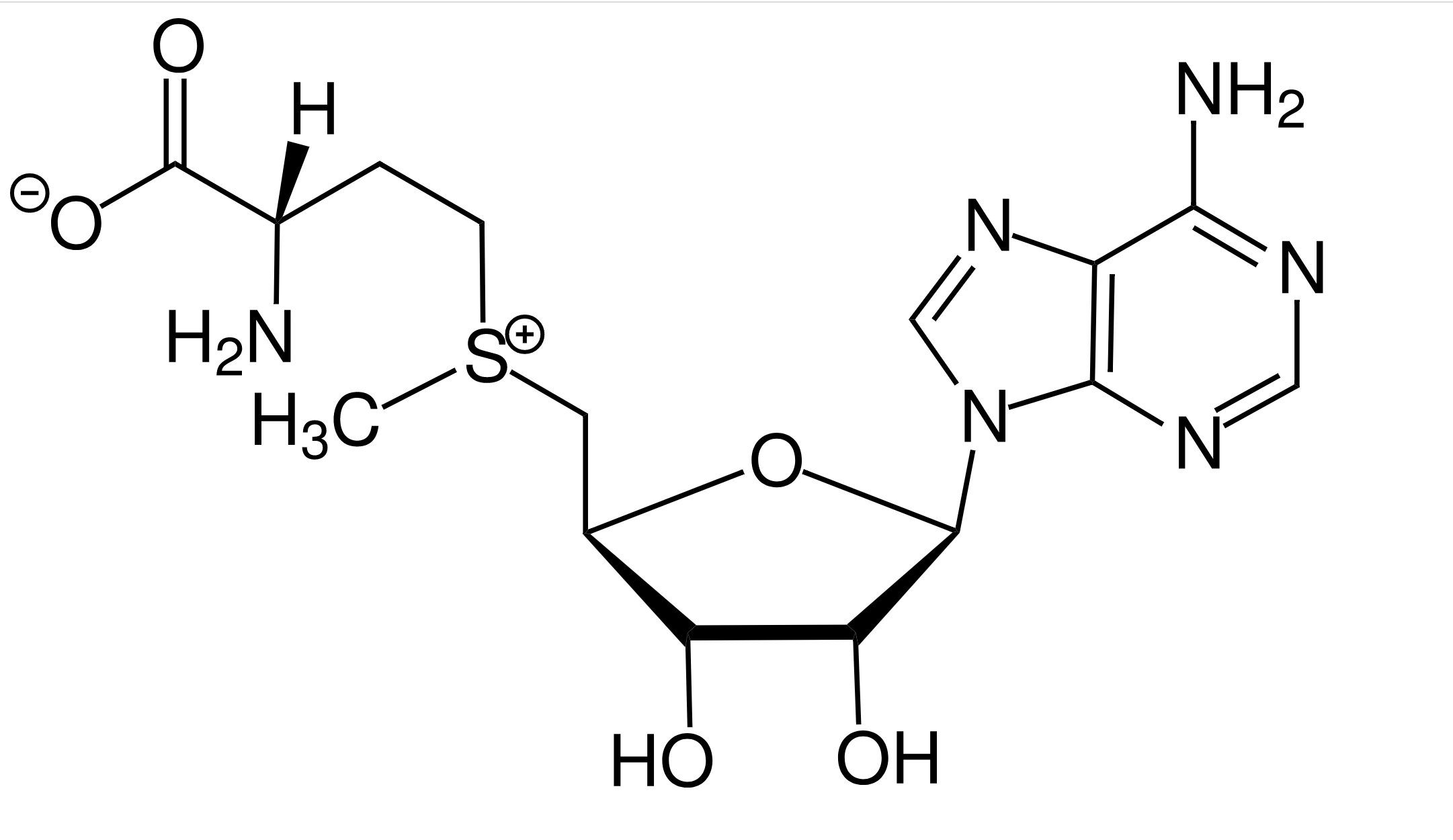 S-Adenosyl-Methionin (SAMe)