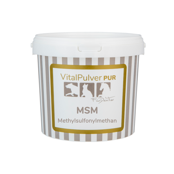 MSM
