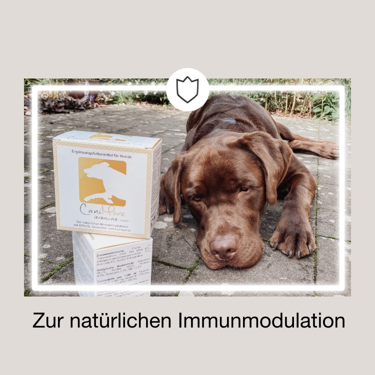 Natürliche Immunmodulation für kleine Hunde ➣ CaniMove immune (EPA70) mini | Dein Tier