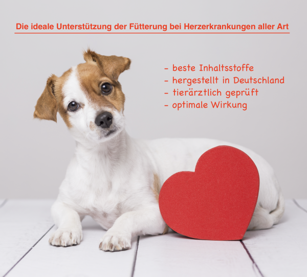Herztabletten für große Hunde CaniMove cardio maxi Für Dein Tier