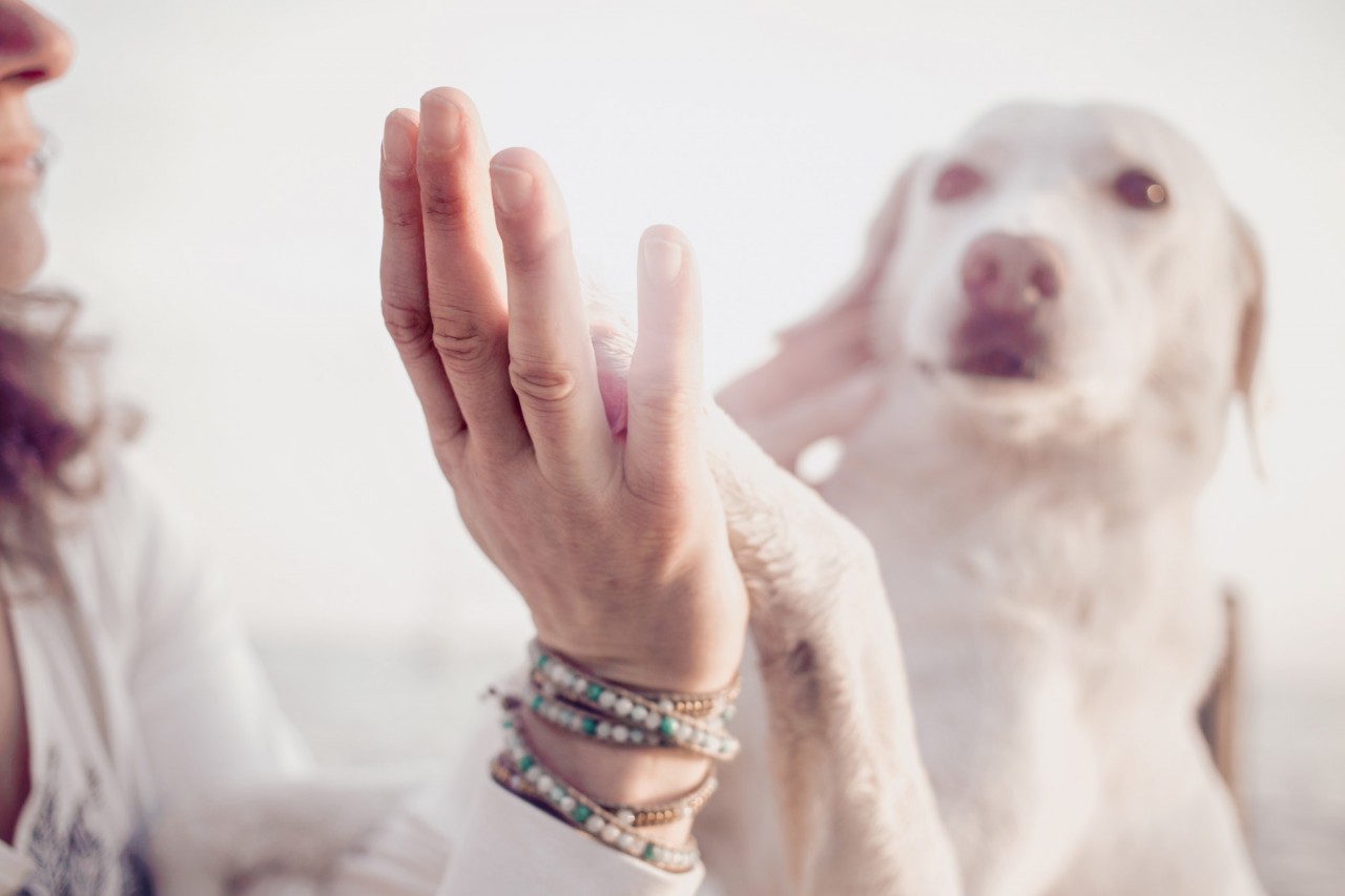 AdobeStock_106761924