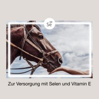 Vorschau: EquiMove Selen + E Vorschau: EquiMove Selen + E