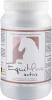 EquiMove active